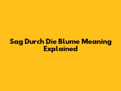 "Sag Durch Die Blume" Meaning Explained