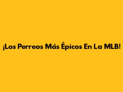 ¡Los Perreos Más Épicos En La MLB!