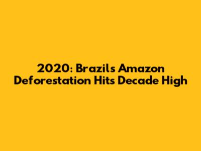 2020: Brazil's Amazon Deforestation Hits Decade High