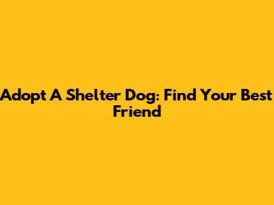Adopt A Shelter Dog: Find Your Best Friend