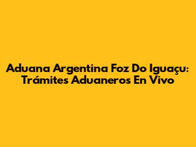 Aduana Argentina Foz Do Iguaçu: Trámites Aduaneros En Vivo