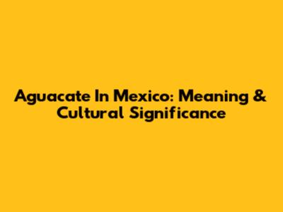 Aguacate In Mexico: Meaning & Cultural Significance