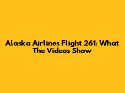 Alaska Airlines Flight 261: What The Videos Show