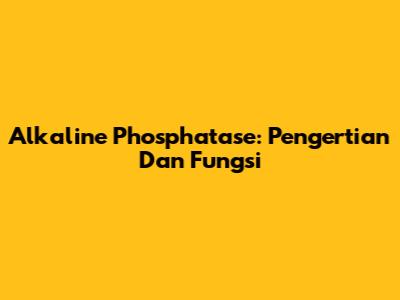 Alkaline Phosphatase: Pengertian Dan Fungsi