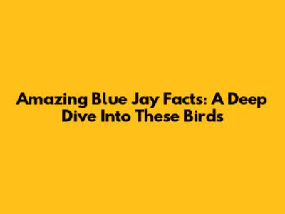 Amazing Blue Jay Facts: A Deep Dive Into These Birds