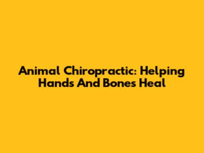Animal Chiropractic: Helping Hands And Bones Heal