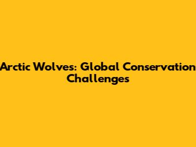 Arctic Wolves: Global Conservation Challenges