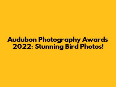 Audubon Photography Awards 2022: Stunning Bird Photos!