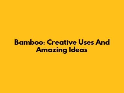 Bamboo: Creative Uses And Amazing Ideas