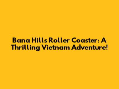 Bana Hills Roller Coaster: A Thrilling Vietnam Adventure!