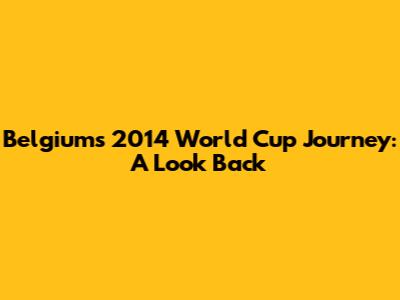 Belgium's 2014 World Cup Journey: A Look Back