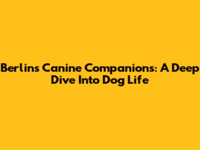 Berlin's Canine Companions: A Deep Dive Into Dog Life