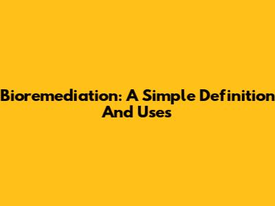 Bioremediation: A Simple Definition And Uses