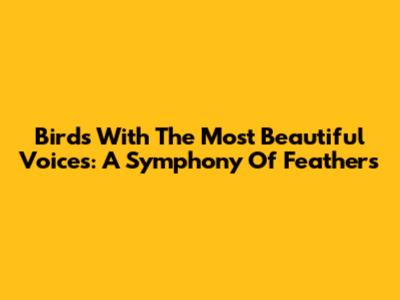 Birds With The Most Beautiful Voices: A Symphony Of Feathers