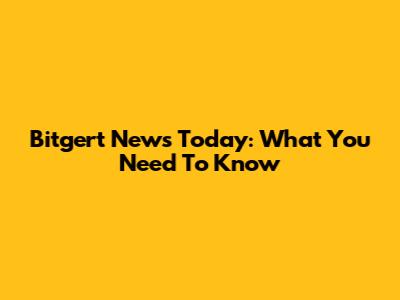 Bitgert News Today: What You Need To Know