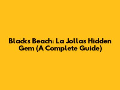 Black's Beach: La Jolla's Hidden Gem (A Complete Guide)