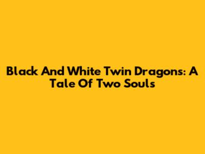 Black And White Twin Dragons: A Tale Of Two Souls