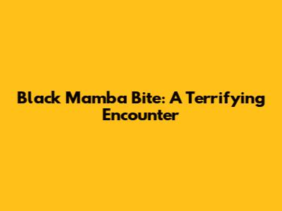 Black Mamba Bite: A Terrifying Encounter