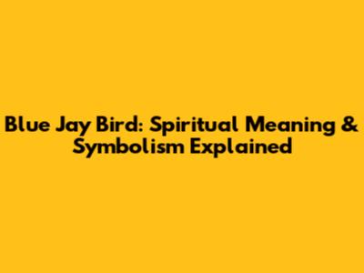Blue Jay Bird: Spiritual Meaning & Symbolism Explained