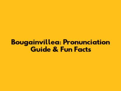 Bougainvillea: Pronunciation Guide & Fun Facts