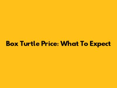 Box Turtle Price: What To Expect