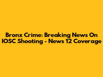 Bronx Crime: Breaking News On IOSC Shooting - News 12 Coverage