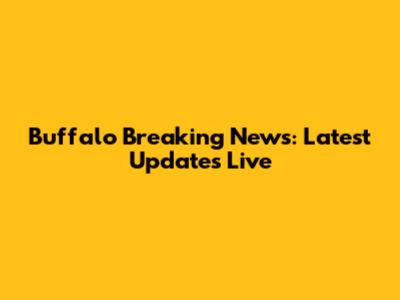 Buffalo Breaking News: Latest Updates Live
