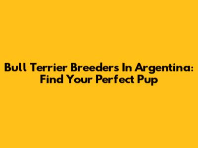 Bull Terrier Breeders In Argentina: Find Your Perfect Pup
