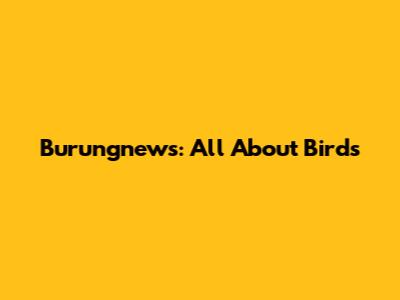 Burungnews: All About Birds