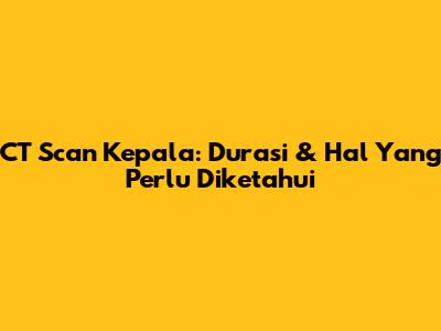 CT Scan Kepala: Durasi & Hal Yang Perlu Diketahui