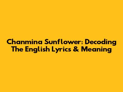 Chanmina Sunflower: Decoding The English Lyrics & Meaning