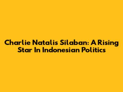 Charlie Natalis Silaban: A Rising Star In Indonesian Politics