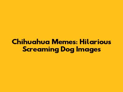 Chihuahua Memes: Hilarious Screaming Dog Images
