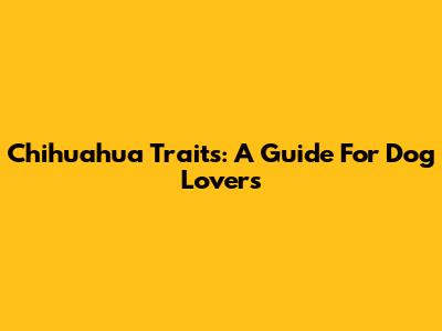 Chihuahua Traits: A Guide For Dog Lovers