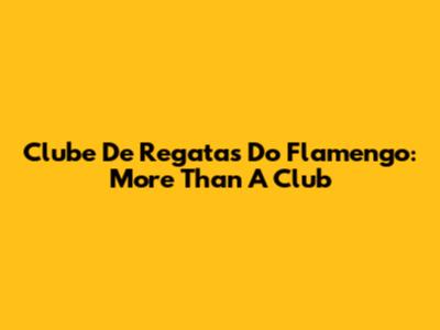 Clube De Regatas Do Flamengo: More Than A Club