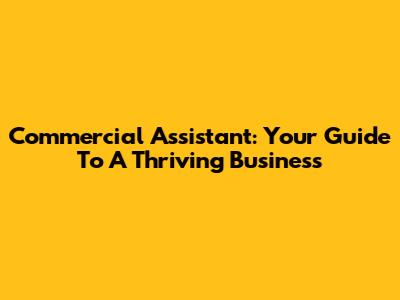 Commercial Assistant: Your Guide To A Thriving Business