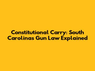 Constitutional Carry: South Carolina's Gun Law Explained