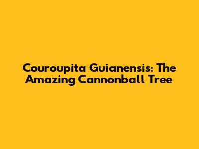 Couroupita Guianensis: The Amazing Cannonball Tree