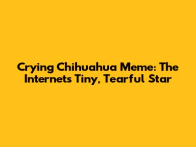 Crying Chihuahua Meme: The Internet's Tiny, Tearful Star