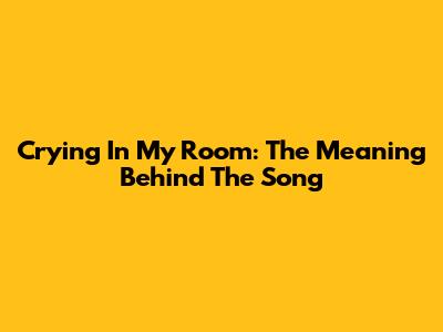Crying In My Room: The Meaning Behind The Song