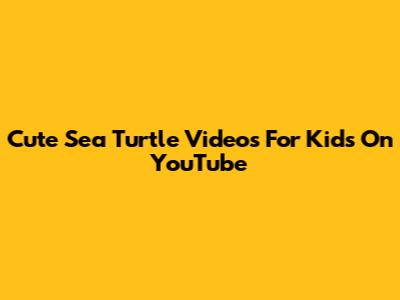Cute Sea Turtle Videos For Kids On YouTube