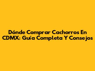 Dónde Comprar Cachorros En CDMX: Guía Completa Y Consejos