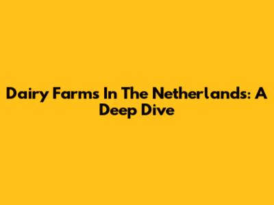 Dairy Farms In The Netherlands: A Deep Dive