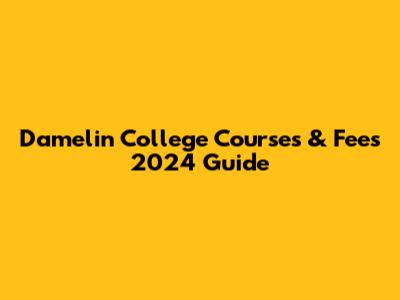 Damelin College Courses & Fees 2024 Guide