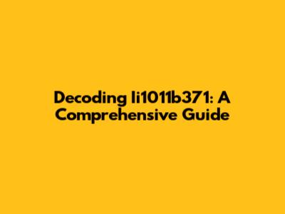 Decoding Ii1011b371: A Comprehensive Guide
