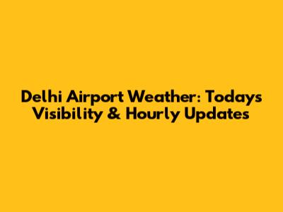 Delhi Airport Weather: Today's Visibility & Hourly Updates