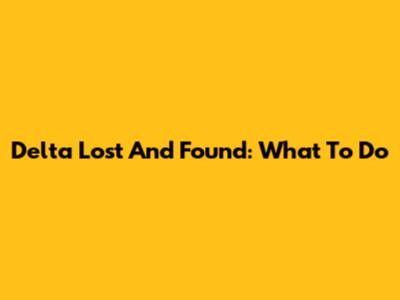 Delta Lost And Found: What To Do