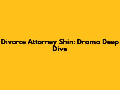 Divorce Attorney Shin: Drama Deep Dive