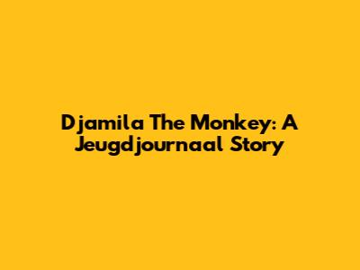 Djamila The Monkey: A Jeugdjournaal Story