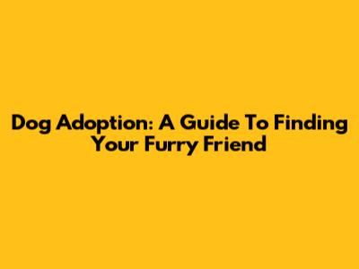 Dog Adoption: A Guide To Finding Your Furry Friend
